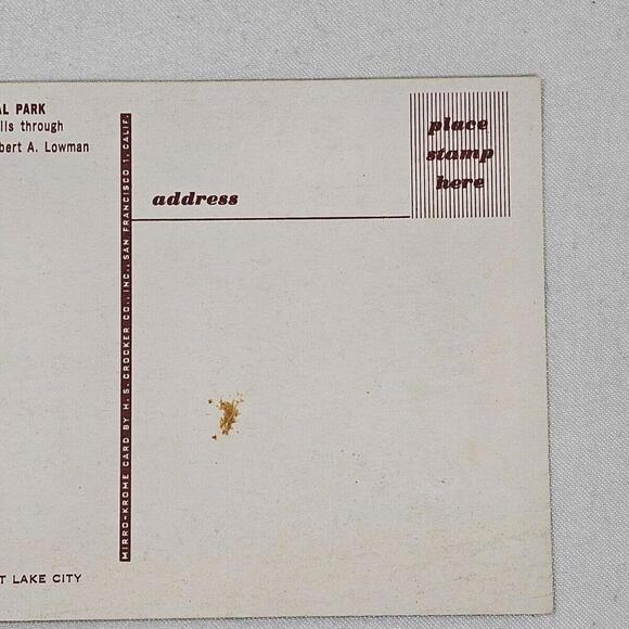 Vintage New Color Photo Post Card Mossy Cave Trail Bryce National Park - Picture 5 of 5